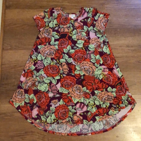 LuLaRoe Dresses & Skirts - LuLaRoe Floral Dress with Red and Green Accents size 12